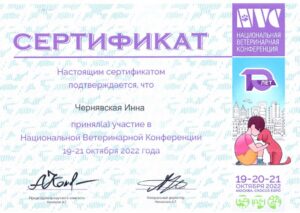 изображение_viber_2024-02-09_16-32-39-955