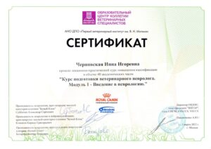 изображение_viber_2024-02-09_16-32-41-733