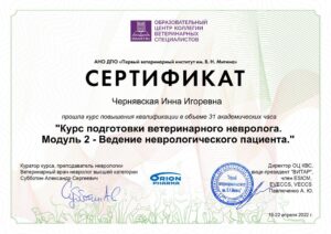 изображение_viber_2024-02-09_16-32-42-647
