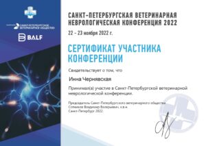 изображение_viber_2024-02-09_16-32-43-250