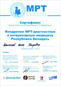 изображение_viber_2024-02-09_16-32-45-602