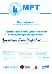 изображение_viber_2024-02-09_16-32-46-952