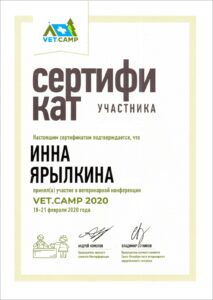 изображение_viber_2024-02-09_16-32-47-896