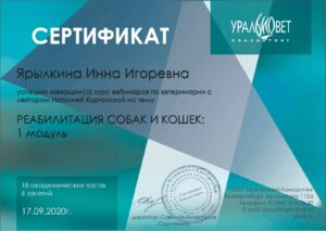 изображение_viber_2024-02-09_16-32-51-338