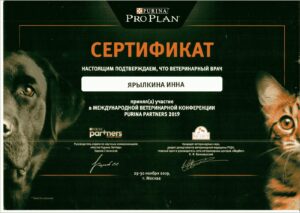 изображение_viber_2024-02-09_16-32-52-238