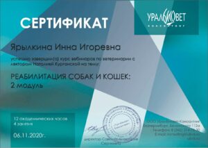 изображение_viber_2024-02-09_16-32-53-807