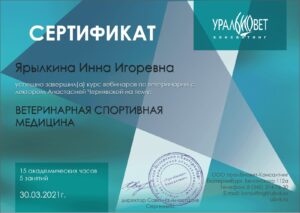 изображение_viber_2024-02-09_16-32-54-498