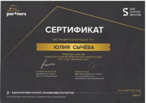 Сычева1
