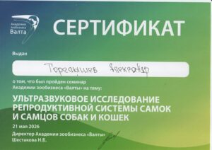 Горелышев2