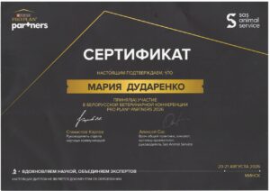 Дударенко3