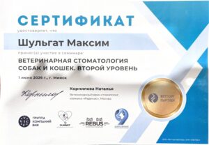ШУЛЬГАТ_00001